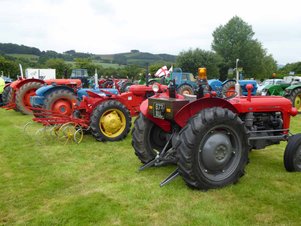 vintage tractors